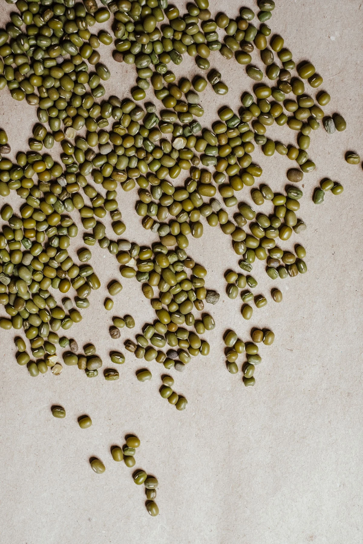 Ilustrasi kacang hijau: scatter